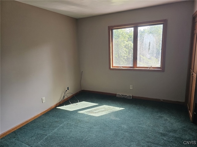 7179 Farnham Rd, Lysander, NY 13112 - photo 35