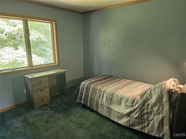 7179 Farnham Rd, Lysander, NY 13112 - photo 36
