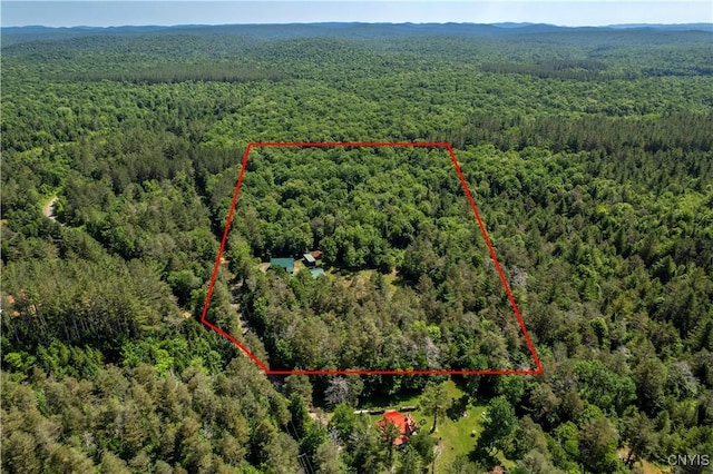 146 Lite Rd, Russia, NY 13338 - photo 6