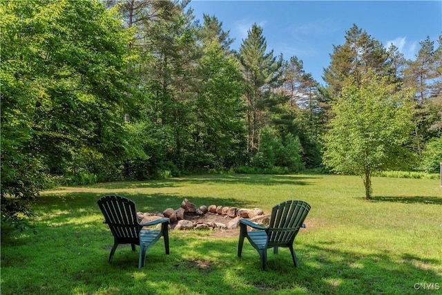 146 Lite Rd, Russia, NY 13338 - photo 22