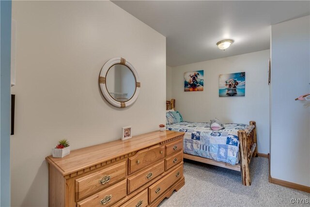 3762 County Route 6, Morristown, NY 13646 - photo 28