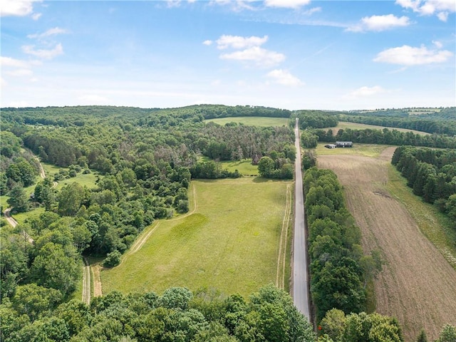 1868 Casey Rd, Independence, NY 14895 - photo 11