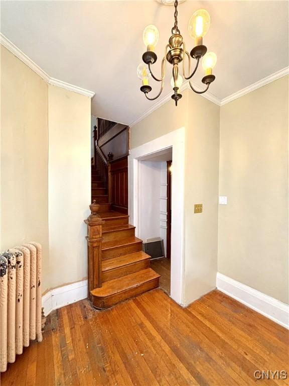 57 E Genesee St, Auburn, NY 13021 - photo 24