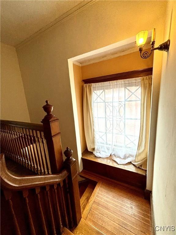 57 E Genesee St, Auburn, NY 13021 - photo 26