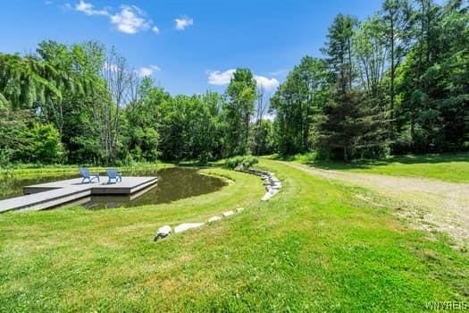 7349 Watson Rd, Mansfield, NY 14731 - photo 37