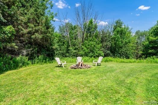 7349 Watson Rd, Mansfield, NY 14731 - photo 38