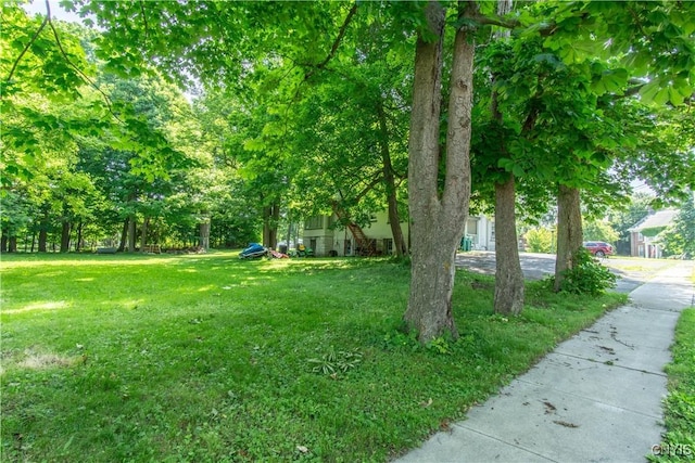 264 S Massey St, Watertown City, NY 13601 - photo 11