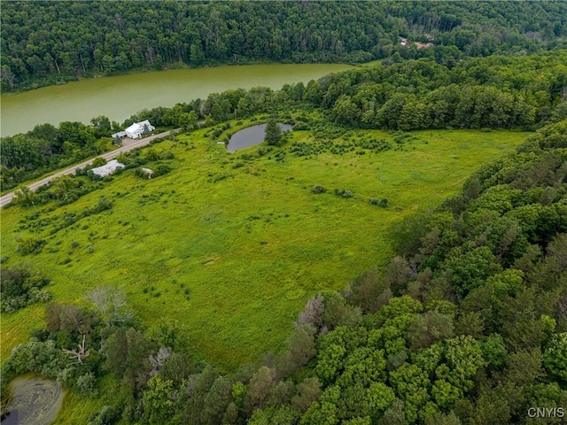 5249 State Route 21, Alfred, NY 14803 - aerial view of a forest and a large body of water