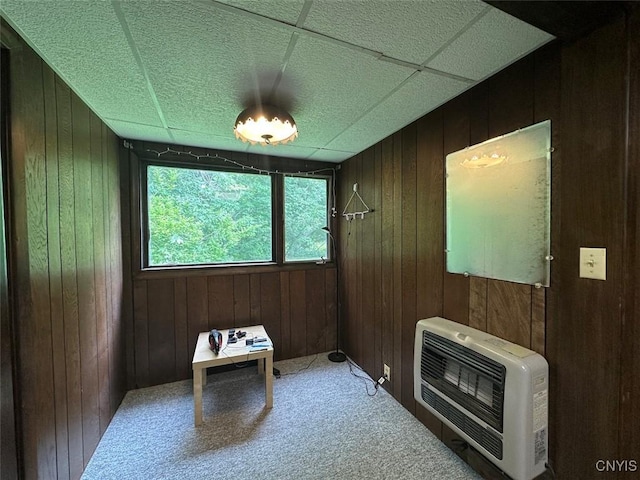 5249 State Route 21, Alfred, NY 14803 - miscellaneous room featuring heating unit, wood walls, and carpet floors