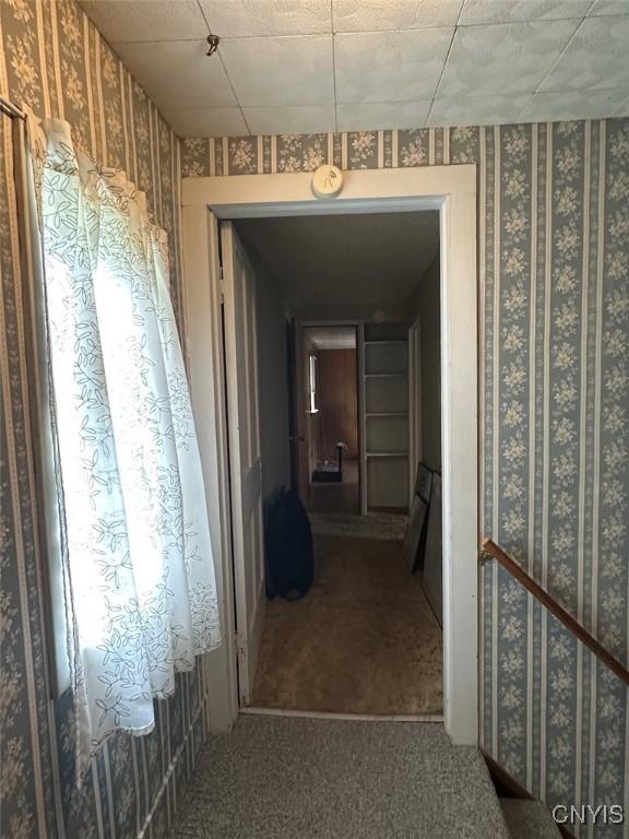 5249 State Route 21, Alfred, NY 14803 - corridor with wallpapered walls and carpet