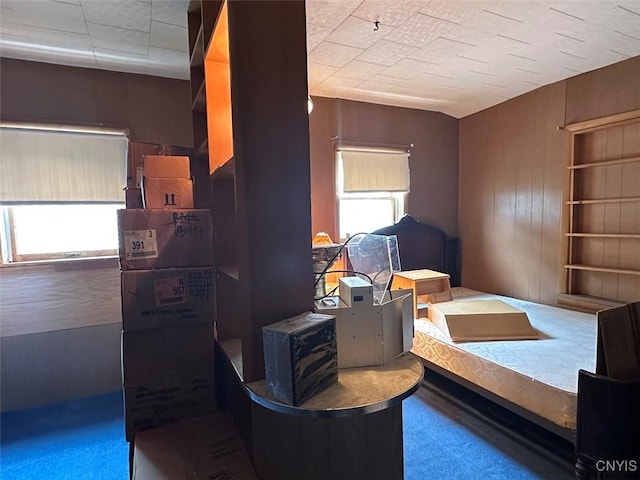 5249 State Route 21, Alfred, NY 14803 - home office featuring carpet floors, wood walls, and built in shelves