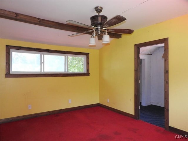 3683 Armstrong Rd, Camillus, NY 13209 - photo 20