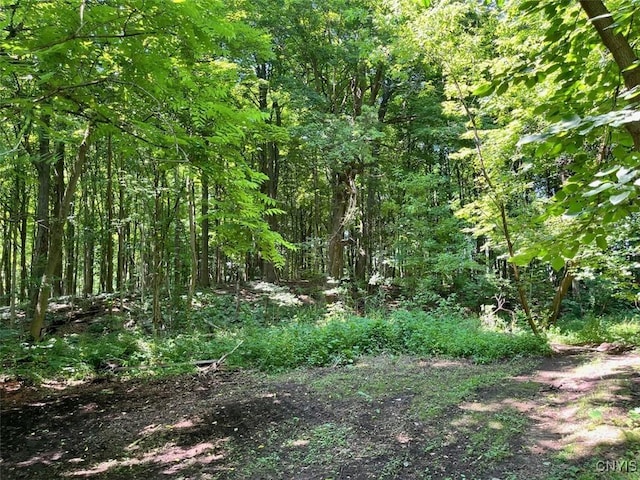 3683 Armstrong Rd, Camillus, NY 13209 - photo 26