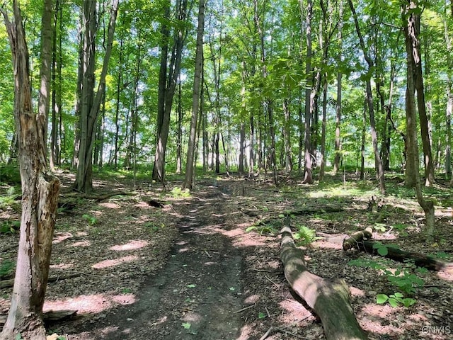 3683 Armstrong Rd, Camillus, NY 13209 - photo 27