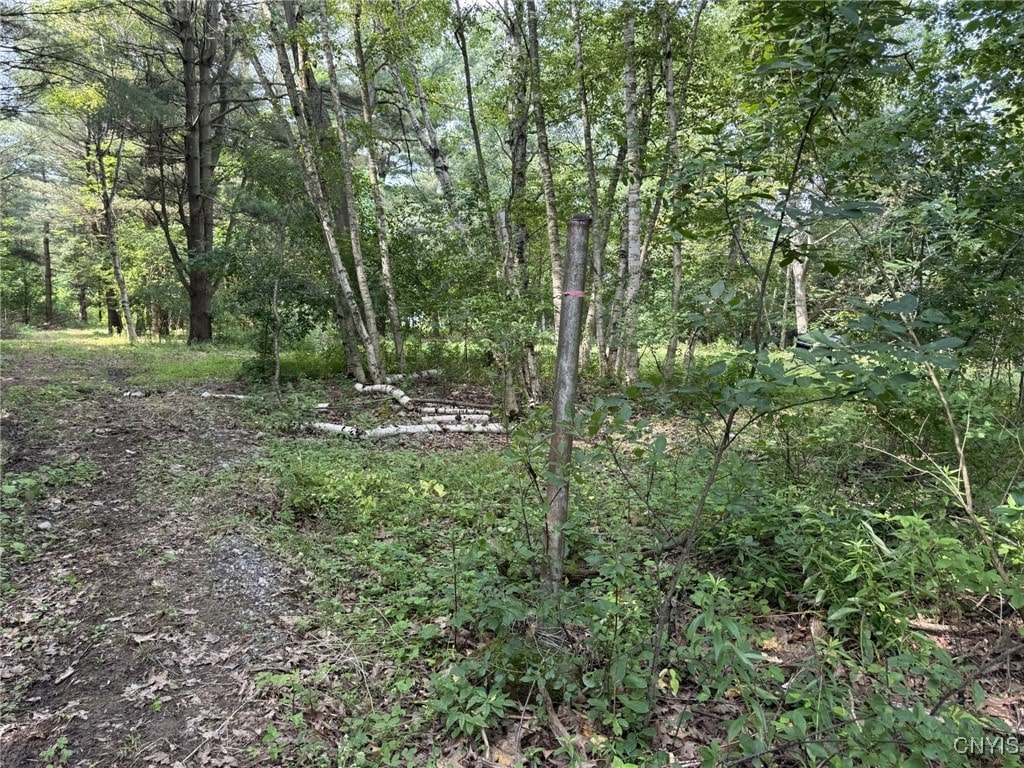 15541 Foster Park Rd, Hounsfield, NY 13685