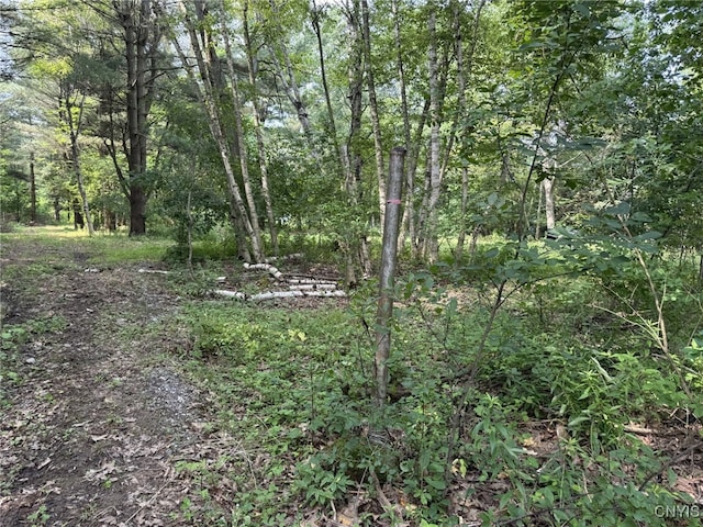 15541 Foster Park Rd, Hounsfield, NY 13685