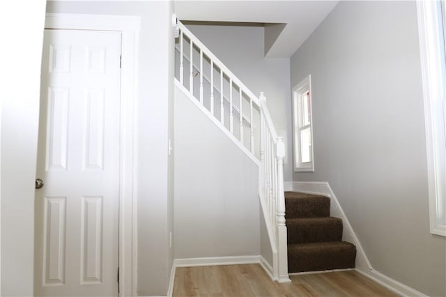 1303 N St, Rochester, NY 14621 - photo 11