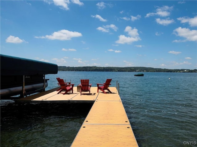 2699 E Lake Rd, Skaneateles, NY 13152 - photo 3