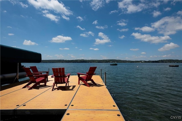 2699 E Lake Rd, Skaneateles, NY 13152 - photo 21