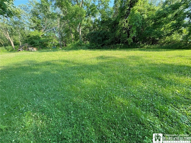 57 Tenney St, Dunkirk, NY 14048 - photo 8