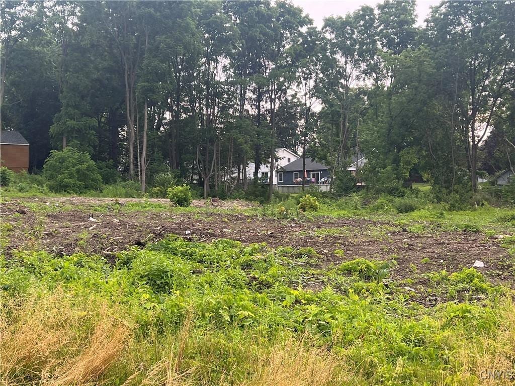 Franklin St, Homer, NY 13077 - photo 1