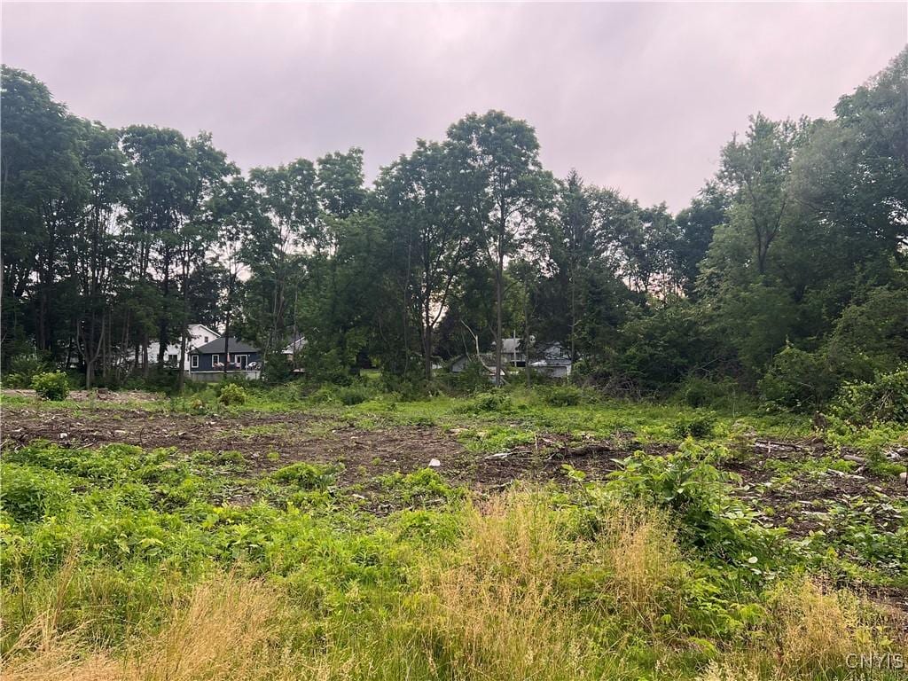 Franklin St, Homer, NY 13077 - photo 2