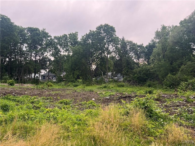 Franklin St, Homer, NY 13077 - photo 2