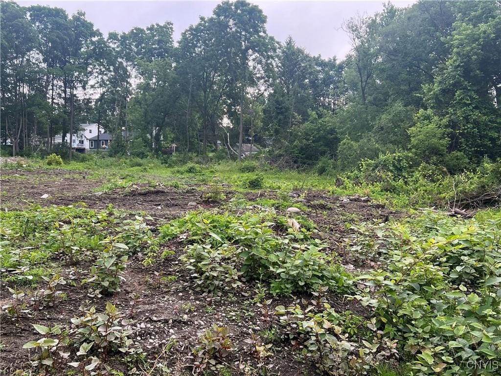 Franklin St, Homer, NY 13077 - photo 3