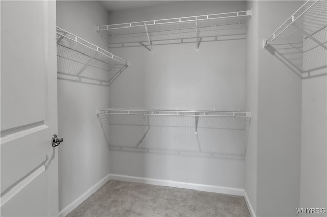 472 Limestone Ct, Grand Island, NY 14072 - photo 21