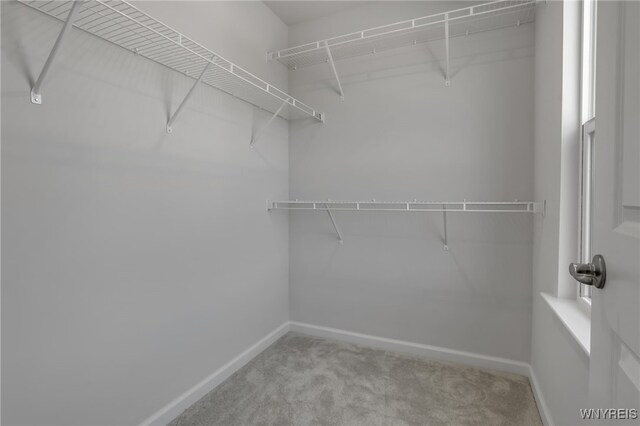 472 Limestone Ct, Grand Island, NY 14072 - photo 27