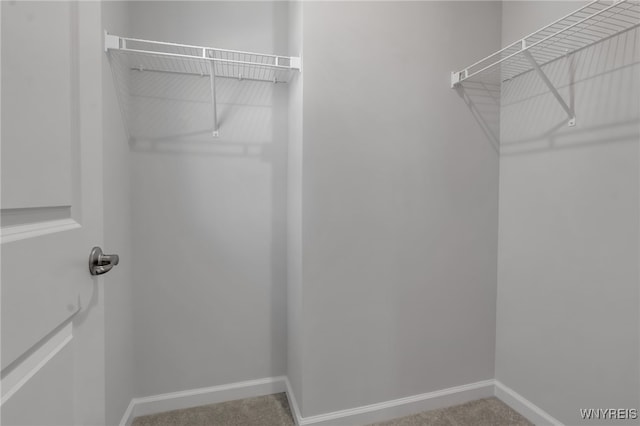 472 Limestone Ct, Grand Island, NY 14072 - photo 32