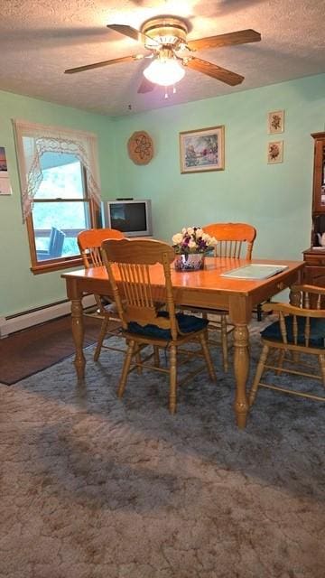 8198 Rte 46, Keating Town, PA 16749 - dining space featuring a textured ceiling and ceiling fan