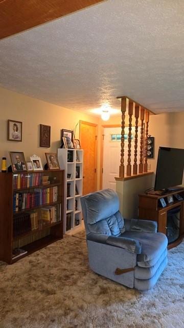 8198 Rte 46, Keating Town, PA 16749 - carpeted living room with a textured ceiling