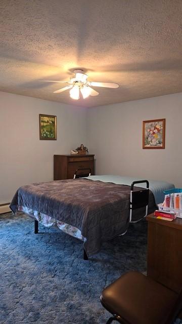 8198 Rte 46, Keating Town, PA 16749 - carpeted bedroom with a textured ceiling and ceiling fan