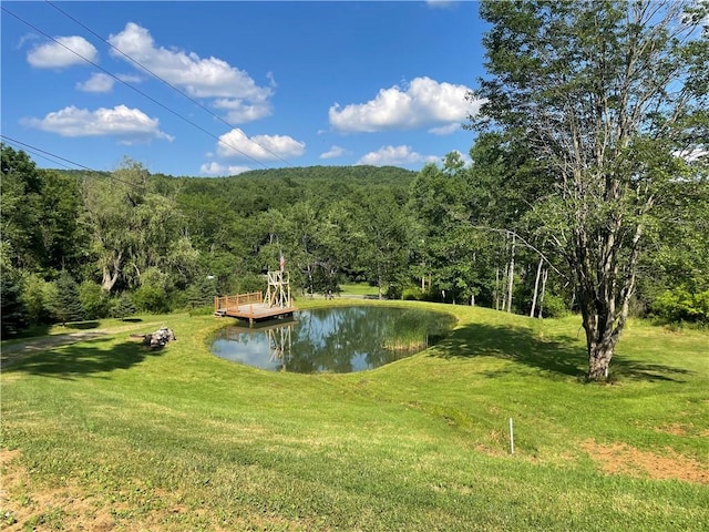 827 Jackson Creek Rd, Erin, NY 14838 - photo 3