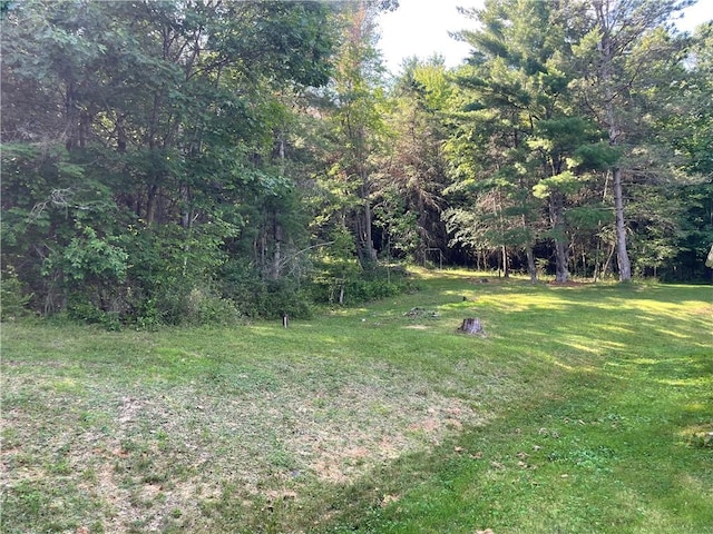 827 Jackson Creek Rd, Erin, NY 14838 - photo 7