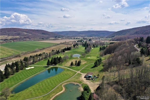 G103 Snowpine Vlg, Great Valley, NY 14741 - photo 11