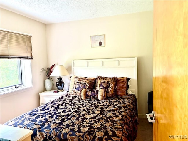 G103 Snowpine Vlg, Great Valley, NY 14741 - bedroom featuring carpet flooring and a textured ceiling
