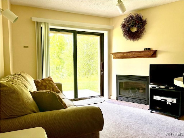 G103 Snowpine Vlg, Great Valley, NY 14741 - photo 5