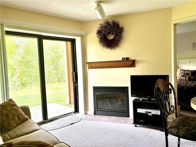 G103 Snowpine Vlg, Great Valley, NY 14741 - photo 6