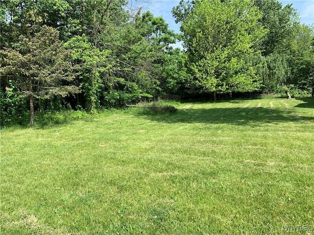 V/L Greiner Rd, Clarence, NY 14221 - photo 1
