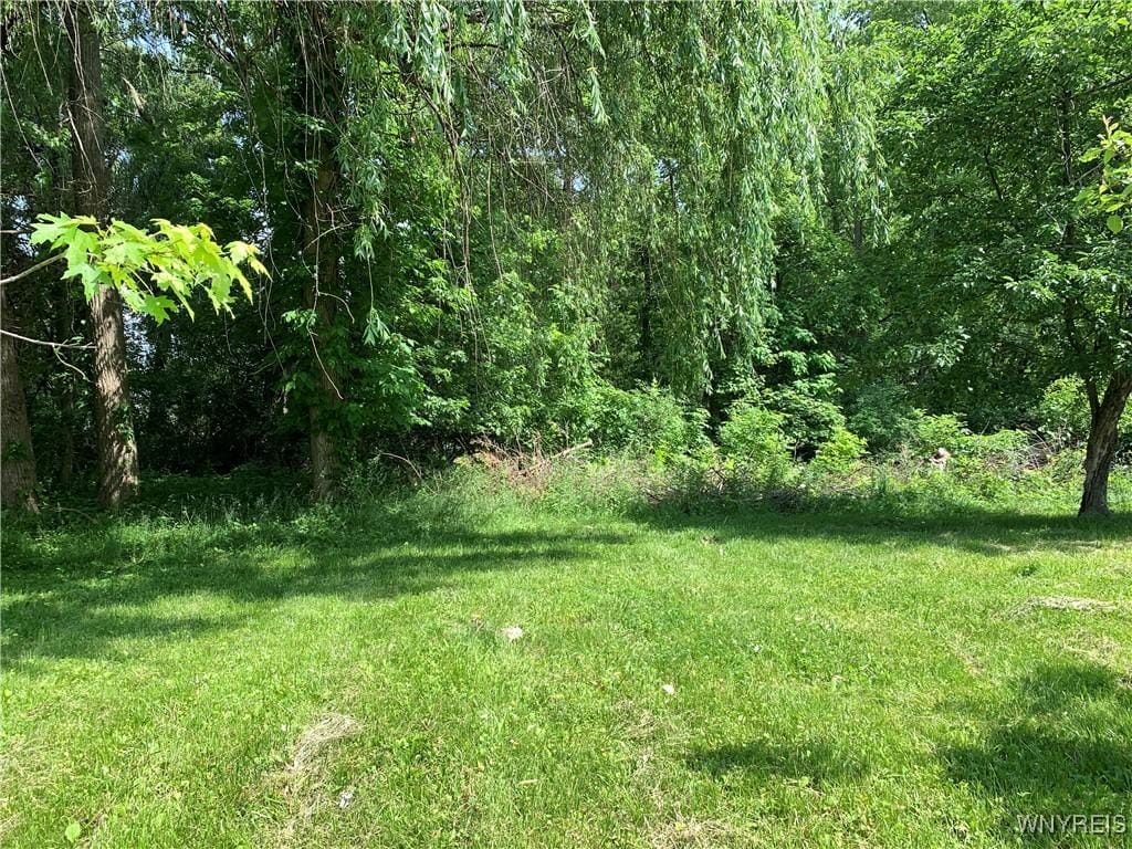 V/L Greiner Rd, Clarence, NY 14221 - photo 2