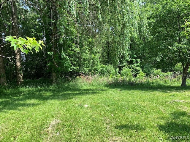 V/L Greiner Rd, Clarence, NY 14221 - photo 2