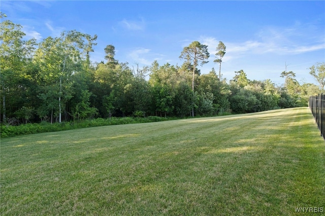 5558 Herons Gln, Clarence, NY 14031 - photo 47