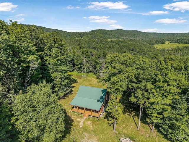 4902 Mcmaster Rd, Cameron, NY 14819 - photo 1