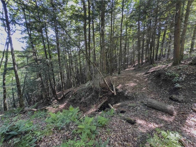 4902 Mcmaster Rd, Cameron, NY 14819 - photo 35