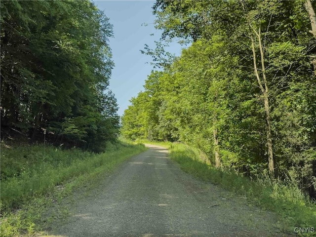 4902 Mcmaster Rd, Cameron, NY 14819 - photo 36