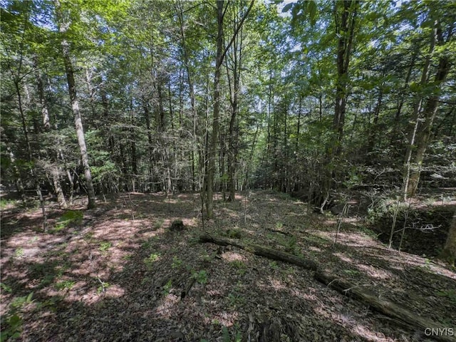 4902 Mcmaster Rd, Cameron, NY 14819 - photo 33