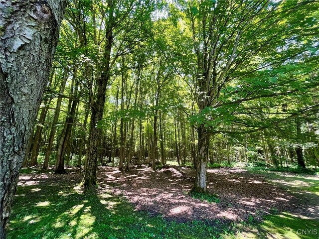 99 Phinney Rd, Granby, NY 13069 - photo 36