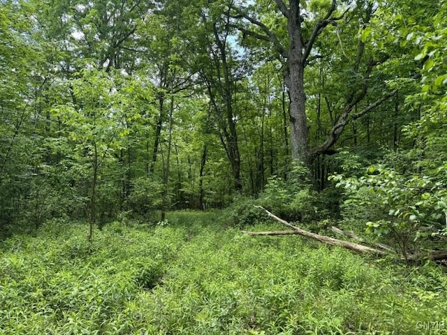 2190 Warren Rd, Italy, NY 14507 - photo 1